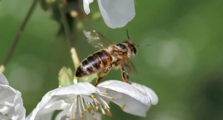 İlhan Erce Feyizoğlu / unsplash.com