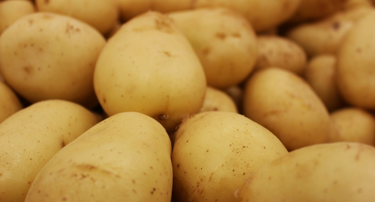 Daniel Dan / unsplash.com