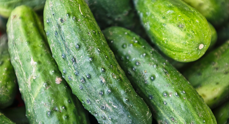 Eric Prouzet / unsplash.com