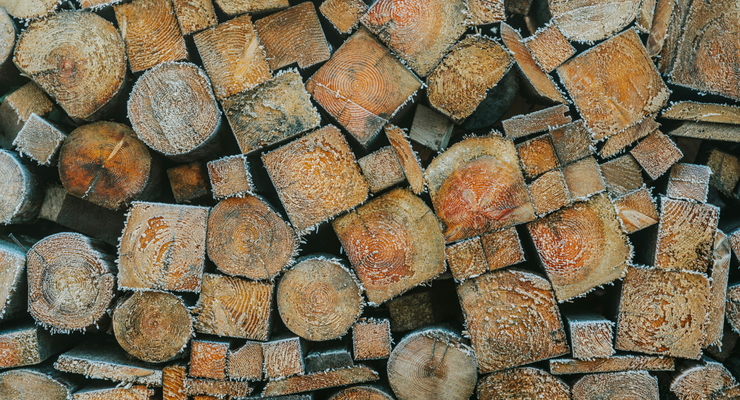 Oskar Kadaksoo  / unsplash.com