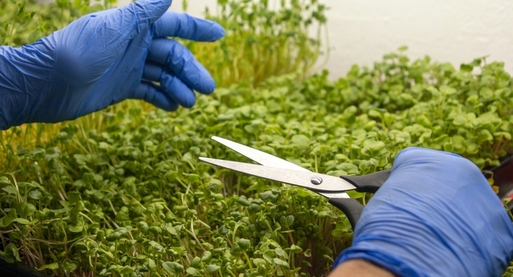 Artelle Creative / unsplash.com