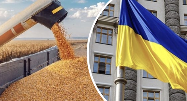 Экспорт пшеницы из Украины достиг 8,2 млн тонн / Коллаж: Dengi.ua