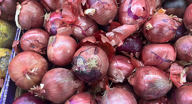 Иллюстративное фото / Getty Images