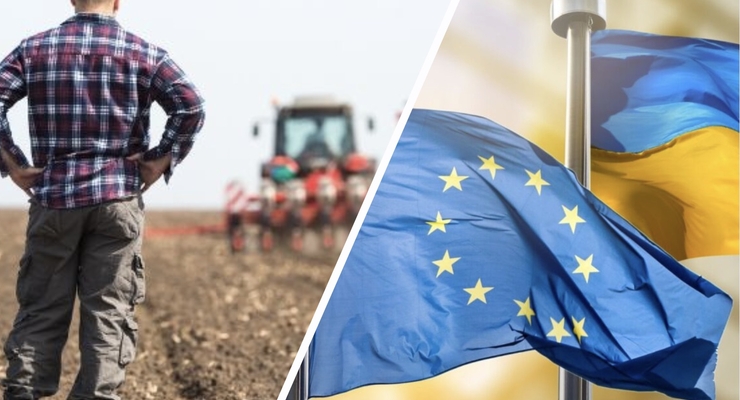 Стратегия развития сельского хозяйства рассчитана до 2030 года / Коллаж: Dengi.ua