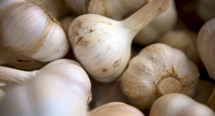 Matthew Pilachowski  / unsplash.com