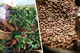 Кава подорожчає: найбільший у світі виробник підвищує ціни