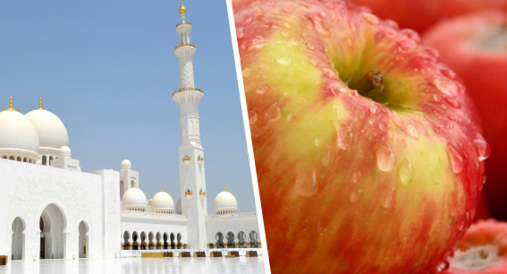 Экспорт украинских яблок в Эмираты стало мегавызовом для агрпроизводителей / Коллаж: Dengi.ua