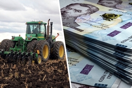 Кредиты для агрохозяйств: в каких областях получили больше всего