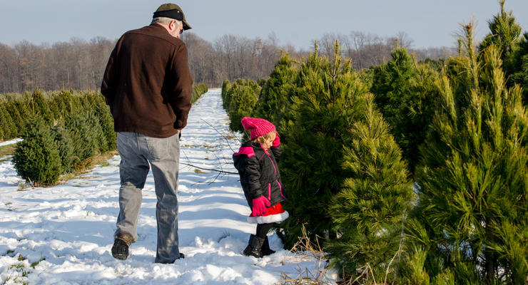 Иллюстративное фото / depositphotos.com