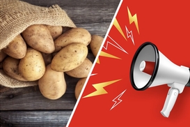 На рынках Украины появился товарный картофель под видом семенного: какие серьезные риски это несет огородникам