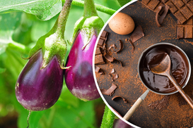 Выведен сорт шоколадного баклажана: каким вкусом и полезными свойствами обладает