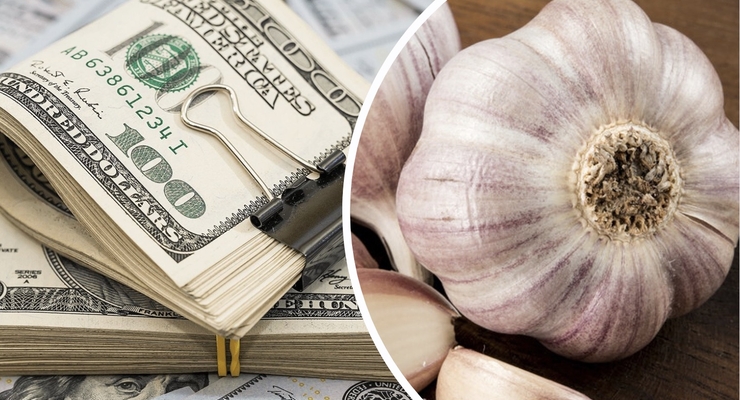 При интенсивной системе выращивания на 1 га чеснока можно заработать до 40 000 долларов / Коллаж: Dengi.ua