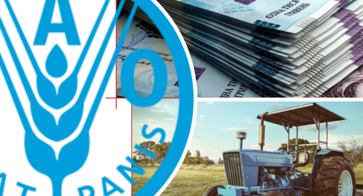 Українські аграрії можуть взяти участь у тендері ООН: умови
