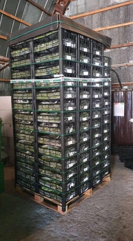 facebook.com/gudpssvko