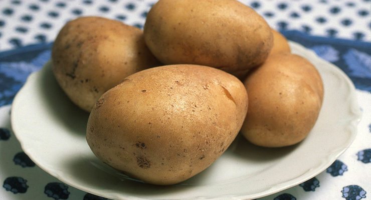 Иллюстративное фото / Getty Images