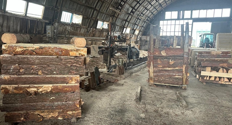 На Волыни разоблачили масштабную схему хищения леса / npu.gov.ua