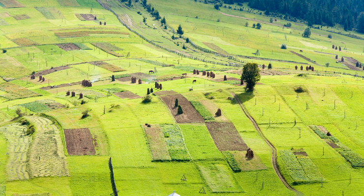 Иллюстративное фото / depositphotos.com