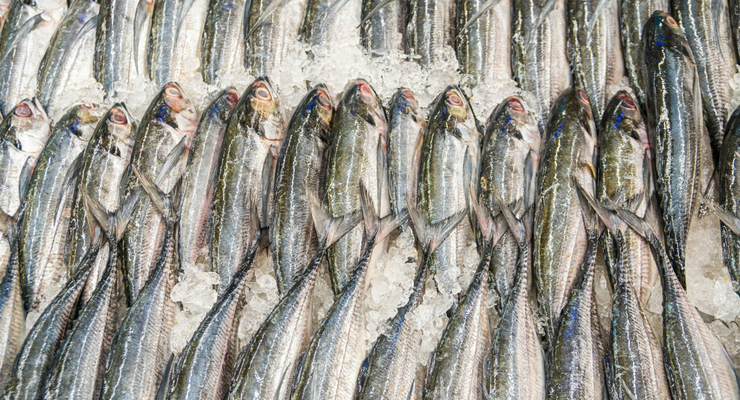 Johen Redman / unsplash.com