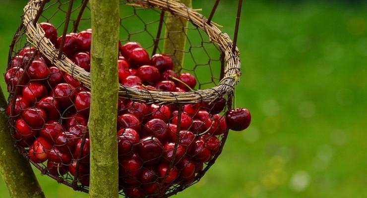 Иллюстративное фото / pixabay.com