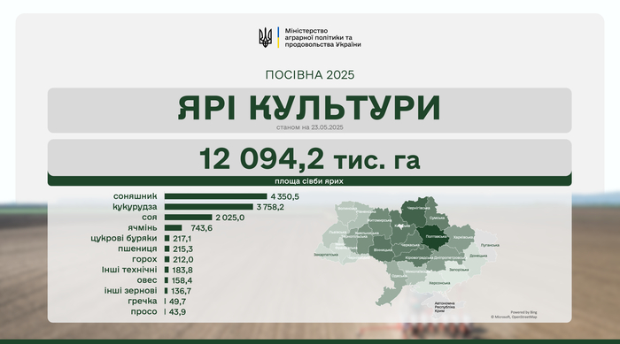 инфографика