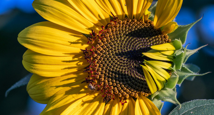 Flash Dantz / unsplash.com