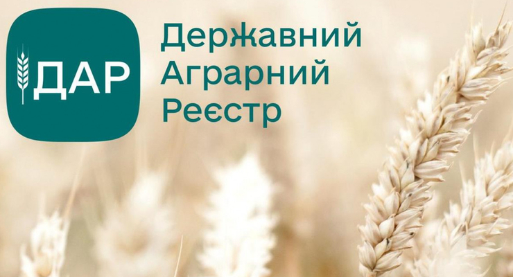 иллюстративное фото / dar.gov.ua