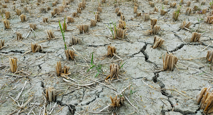 Md. Hasanuzzaman Himel / unsplash.com