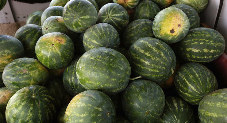 Иллюстративное фото / Getty Images