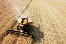 Компенсации за украинскую сельхозтехнику: Кабмин выделяет еще 700 млн грн