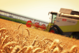 Новые возможности: Украина избрана в Совет одного из ведущих агентств ООН