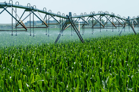 Некоторых украинцев освободили от налога: кого коснулось