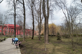 Составлен рейтинг лучших университетов Украины: кто вошел в ТОП-20