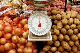 Важный овощ стал более доступным: что привело к снижению цен