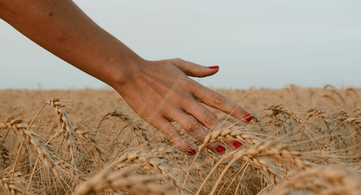 Paz Arando / unsplash.com