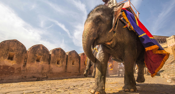 C Rayban / unsplash.com