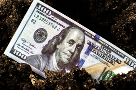 Надходження від плати за землю зросли на 15%: скільки отримали бюджети