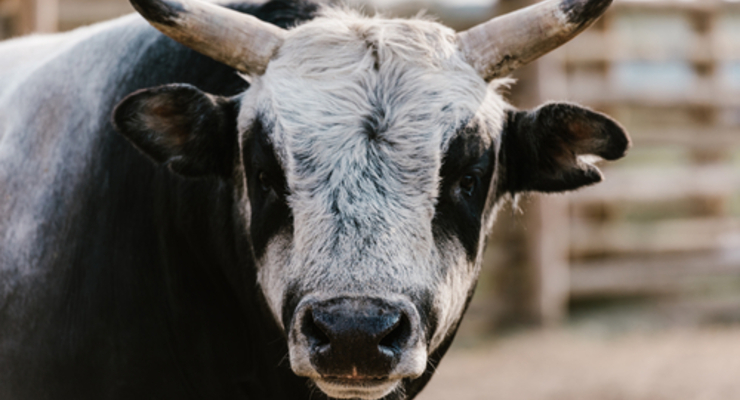 Иллюстративное фото / depositphotos.com