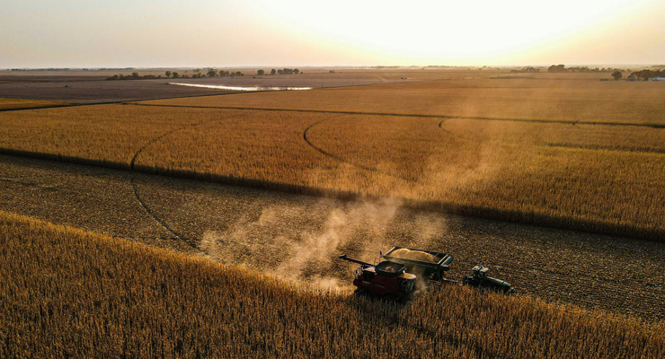 Taylor Siebert / unsplash.com