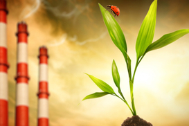 В Украине создали Координационный совет по развитию биоэнергетики: детали