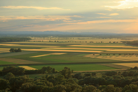 В Украине выросли цены на сельхозземли: где самый дорогой гектар