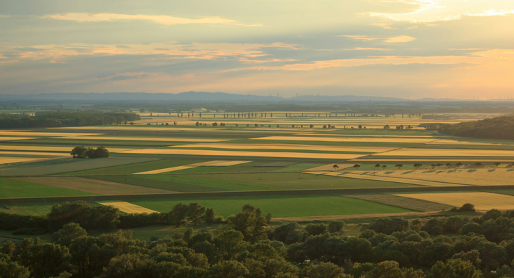 Frantisek Duris / unsplash.com