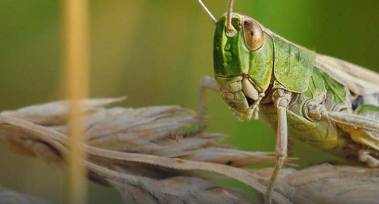 Иллюстративное фото / facebook.com/spsa.gov.ua