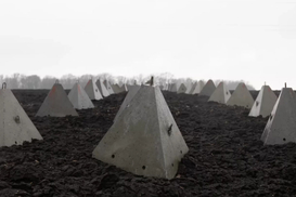 Нардеп «намолотил» миллионы на строительстве фортификаций – СМИ