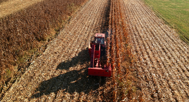 Vasile Valcan  / unsplash.com