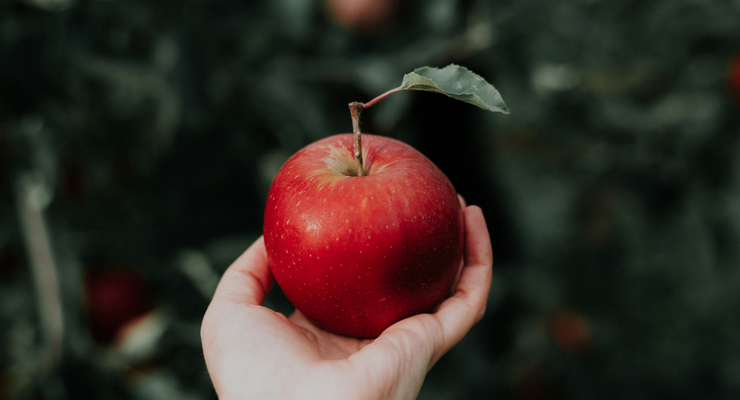  Priscilla Du Preez / unsplash.com