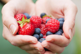 Цены на популярную ягоду стремительно растут: сколько стоит килограмм