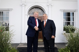 Трамп убедил Орбана не блокировать вступление Украины в ЕС - Politico