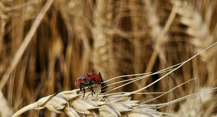 James Ahlberg  / unsplash.com