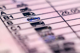 Бесплатное восстановление водительских документов: кто может воспользоваться