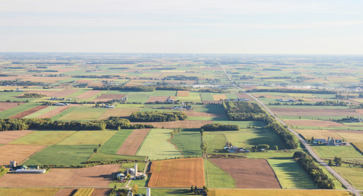 Sveta Fedarava / unsplash.com